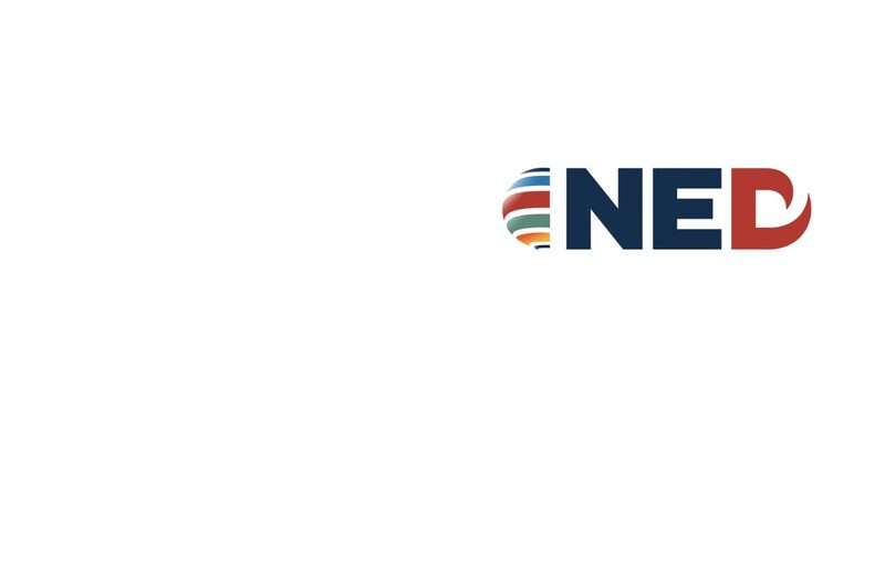 Национальный Фонд Поддержки Демократии (NED)